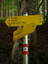 Nun bog ich links Richtung Taunzboden und Stumpfmauer ab und …