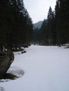 Zu meiner Überraschung folgte ich nun einer Schneise durch den Wald, die Ähnlichkeit mit einer künstlich angelegten Schipiste hatte, sozusagen ein El Dorado für Schitourengeher. Mittlerweile legte ich auch meine Utensilien, die Schneeschuhe an.
