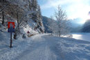 In einem gemächlichen Tempo folgte unser Team, bestehend aus Gabi, Margit, Angela, Gudrun, Fred, Joachim, Roni & meiner Wenigkeit der schneebedeckten breiten Straße …