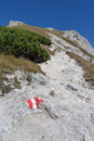 Von der Hütte aus sah der Gipfel des Mittagskogels noch schier endlos aus. Eine ½ Std. später trennten uns vermutlich nur noch einige wenige Serpentinen davor.