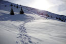 Gesagt - Getan, so stiegen wir entlang der gedanklich markierten  ausgespähten Route den ansteilenden Hang empor. Die Frontzacken der Schneeschuhe griffen am Harschdeckel bestens und es war problemlos zu gehen. (Bild leider vom Abstieg!).