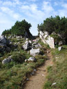 Auf ca. 1800m angekommen, wanderten wir den Steig weiter in westlicher Richtung.