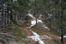 Fast übersehbar drehte der Weg gleich nach der Sendeanlage abrupt nach rechts ab. Ronald & ich folgten dem Steig …