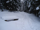 Je näher ich der Iglmoosalm kam,  desto mehr multiplizierte sich auch die Schneedecke. Immer wieder luden nette Bänkchen am Wegesrand zum verweilen ein.