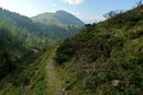 Was bedeutete dass wir wieder einmal ziemlich weglos unterwegs waren. Wir trafen zwar vereinzelt auf vermeintliche Wanderwege …