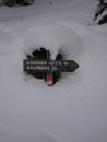 Eine weitere Kehre hatte ich abgekürzt und landete nochmals auf der schneebedeckten Forststraße. Ich folgte dieser bis zur nächsten Gabelung. Bis zur Goiserer Hütte war es noch eine Stunde.