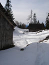 Zwischen den Hütten der Mitteralm hindurch, ...