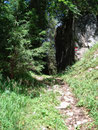 Rechter Hand vorbei an dieser führte der Wandersteig Nr. 642 uns nun zum Scheidkogel.