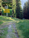 … zu einer Forststraße. Dieser folgte ich wenige Meter bis zum Kalblingsgatterl (1542m) und der nächsten Weggabelung.
