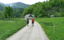 … Startpunkt unserer Nationalpark-Rundtour talaus. Eine wunderschöne, empfehlenswerte Bergwanderung abseits des Trubels fand hier sein Ende. Ich hoffe ihr habt euch einen Gusta zum Nachwandern geholt. Lg. Angela, Susi & Wizi    