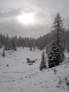 Vorbei an der Weierbaueralm ...