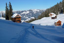 Nur wenige Minuten dauerte der Abstieg zu den Hütten der Alm. Anschließend wanderten wir drei den sanft abfallenden Spuren talwärts zwischen ihnen hindurch.