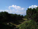 Die Landschaft veränderte sich hier ...