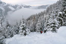 Zu unserer Freude gab der lichte Baumbestand  zunehmen den Ausblick auf die benachbarte Bergwelt frei.