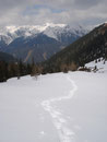 … die Spuren der Schneeschuhe …