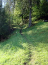 ... bei der es unmittelbar danach rechts hinauf in den Bergwald ging.