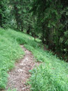 .. zurück zur Gasselhütte.