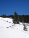 Wir befanden uns hier zwar schon auf ca. 1800m, aber es sollte noch ein schönes Stück Arbeit werden bis wir den Gipfel erreichten.