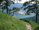 … führte uns der Steig zuerst durch lichten Wald und …