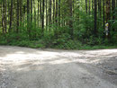 ... machten wir uns auf zu unserem heutigen Gipfel, den Gasselkogel in den Nördlichen Kalkalpen. Hier der Forststraße links folgend ...