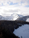 Ein Weitblick Richtung Postalm Schigebiet und die "Obere Bleckwandalm" hinter uns gelassen, konnten wir auch schon einen ersten Blick ...