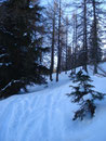 ... hies es fortan, steiler nach oben und sehr viel mehr an Schnee. Hätte man keine Skispur gehabt zum hochwandern, es wäre kaum möglich gewesen durch die Mengen an Schnee zu kommen.