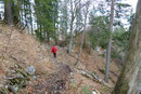 Wenige Minuten später hatten wir den baumlosen Teil hinter uns gelassen und der weitere Rückweg ließ uns wieder in den Wald eintauchen.