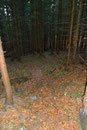 Auf der Terrasse der Hütte nutzten wir dann die letzten herbstlichen Sonnenstrahlen des Tages zum Relaxen. Fast eine ¾ Std. verharrten wir, bevor es über den letzten Abstieg herging. Von der Hütte gerade über die Wiese, durch ein Gatterl, den Wald und …