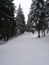 ... die Winterlandschaft immer schöner.