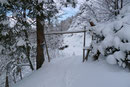 … und schon waren wir wieder beim Durchgang „Moosberg 205“ angekommen. Durch diesen hindurch und weiter durch die famose heimische Winterlandschaft …