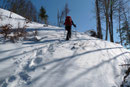 Das Gelände wurde nunmehr etwas offener, der Schnee tiefer und wir kamen immer mehr in den Genuss des kräfteraubenden Tiefschneestapfens :-). 