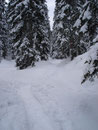 Mit meinen „Watschlern“ watschelte ich durch die Winterlandschaft talwärts.
