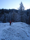 ... zum Waldrand, wo es steiler und steiler ...