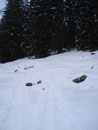 … links dem Steig Nr. 880 wieder in den Wald folgend. Ich entschied mich natürlich für den Wandersteig.