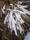 Der abgeblasene Gipfel versteckte so manche interessante Variation es Winters, wie dieses hier.