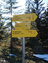 Der nächste Wegweiser auf meinem Rundgang deutet Richtung Labenbergalm (20 Min.).