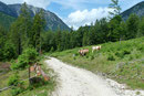 …schon hatte ich die nächste Wegkreuzung erreicht. Jetzt hielt ich mich nach rechts und wanderte gemütlich den Bärenwaldweg entlang.