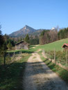 Wir passierten eine kleine, schon saftig grüne Lichtung mit direktem Blick auf den 1399m hohen Kitzstein.