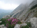... und an den Nordabstürzen der Kahlwandspitze ...