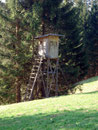 Schau schau, auch in Bayern wird „wild“ (Wild) geschossen!