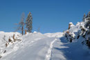 Letztendlich wandte ich mich jedoch wiederum meinem Aufstieg zu und folgte einem Schneeschuh vor den anderen setzend dem gespurten Routenverlauf, …