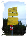 Durch die von Latschen gesäumten Gassen erreichte ich den querenden Weitwanderweg Nr. 804/E4, dem ich weiter nach links in Richtung Brennerin weiterwanderte.