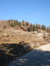 … und die Pitschenbergalm war in Sichtweite.