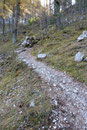 Wir jedoch wandern weiter auf dem Pfad Nr. 660 Richtung Heßhütte.
