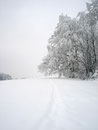 Leicht konnte man die Spuren eines Tourengehers erkennen. Knietief ging es weiter, denn unsere Schneeschuhe hatten wir im Kofferraum verstaut. Ziemlich sinnvoll!