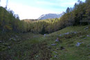... bevor wir eine Art Hochtal erreichten. Von hier aus zweigt auch der Wandersteig Nr. 663 zur Planspitze ab.
