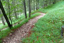 Wenige Minuten später traf ich erneut auf die Forststraße. Und gleich darauf ein drittes Mal. Jetzt folgte ich dieser ein kurzes Stück links entlang, bevor mich der Bergpfad rechts weiter in Serpentinen über den bewaldeten Hang empor leitete.