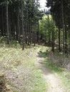 Ich machte heute nicht Rast bei der Hochsteinalm, da mein Tagesziel ja der Farnaugupf war. Vor der Hütte zweigte links der Wandersteig Richtung Lärlkogel/Farnaugupf ab.