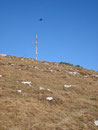 Nun war auch dieses Gipfelkreuz schon zu erkennen und ich stieg die letzten Meter zum Pitschenberg auf.
