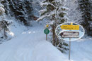 Nach etwa 500m erreicht man die Abzweigung „Ebenalm“, an welcher unsere Gruppe nach links abbog und …